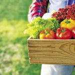 ThinkstockPhotos-62125_opt