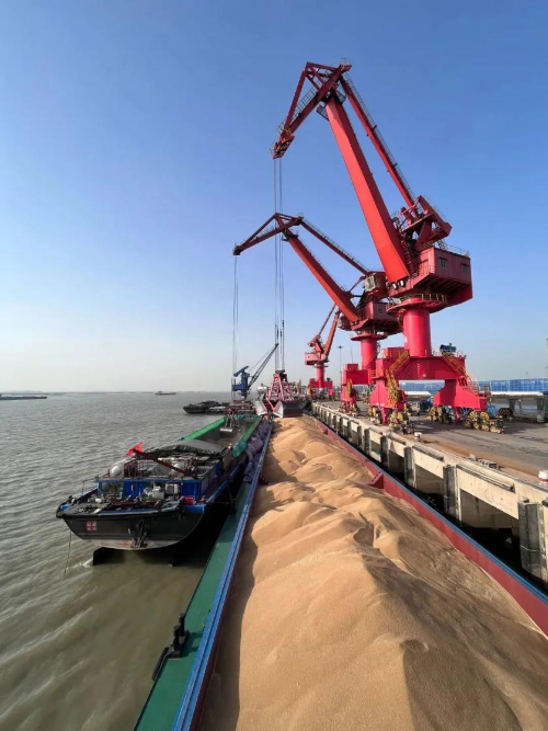 COSCO SHIPPING Logistics ensures Food Security Through Better Service