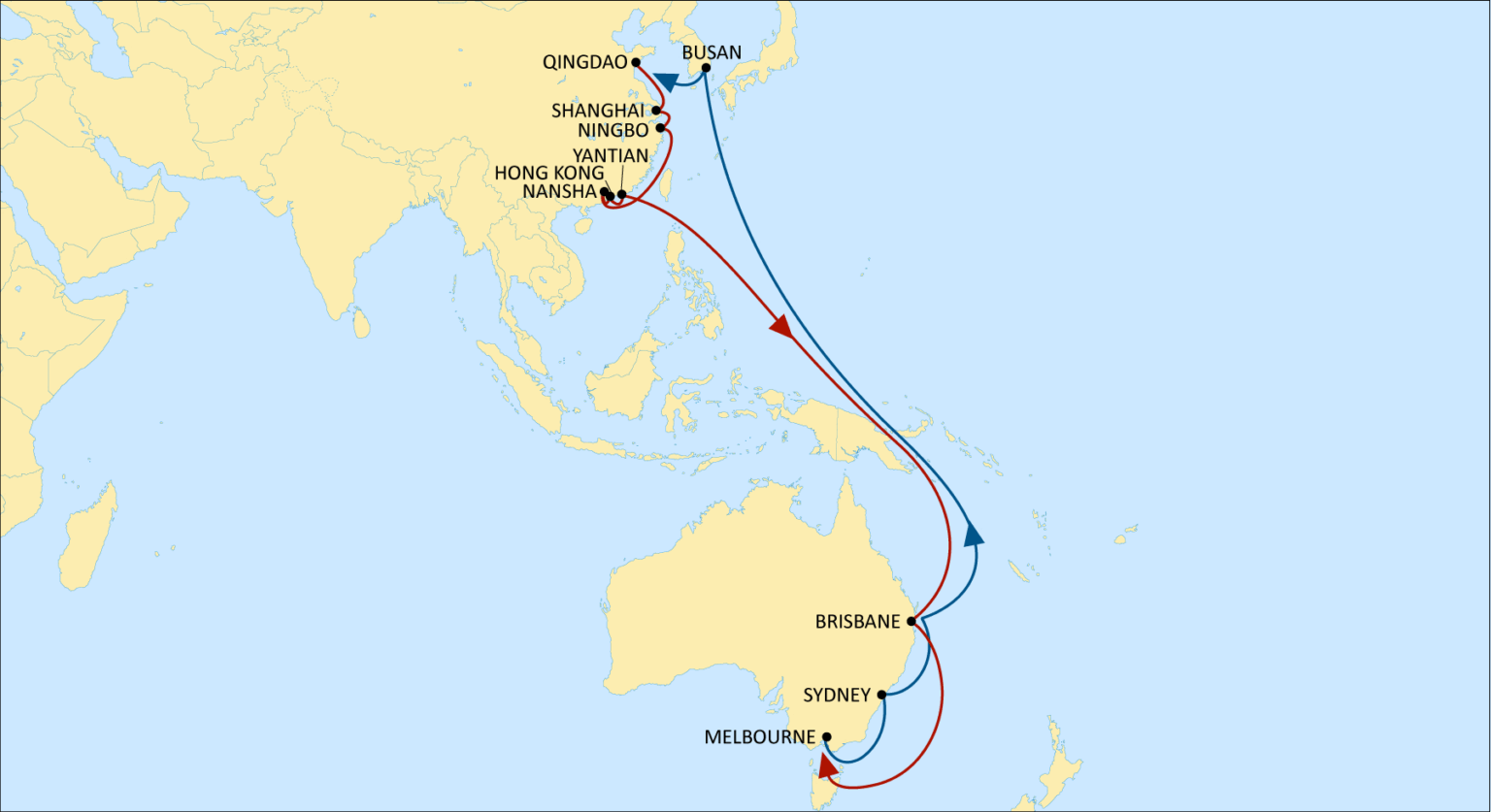 MSC Enhances Panda Service Through New VSA Logistics Manager