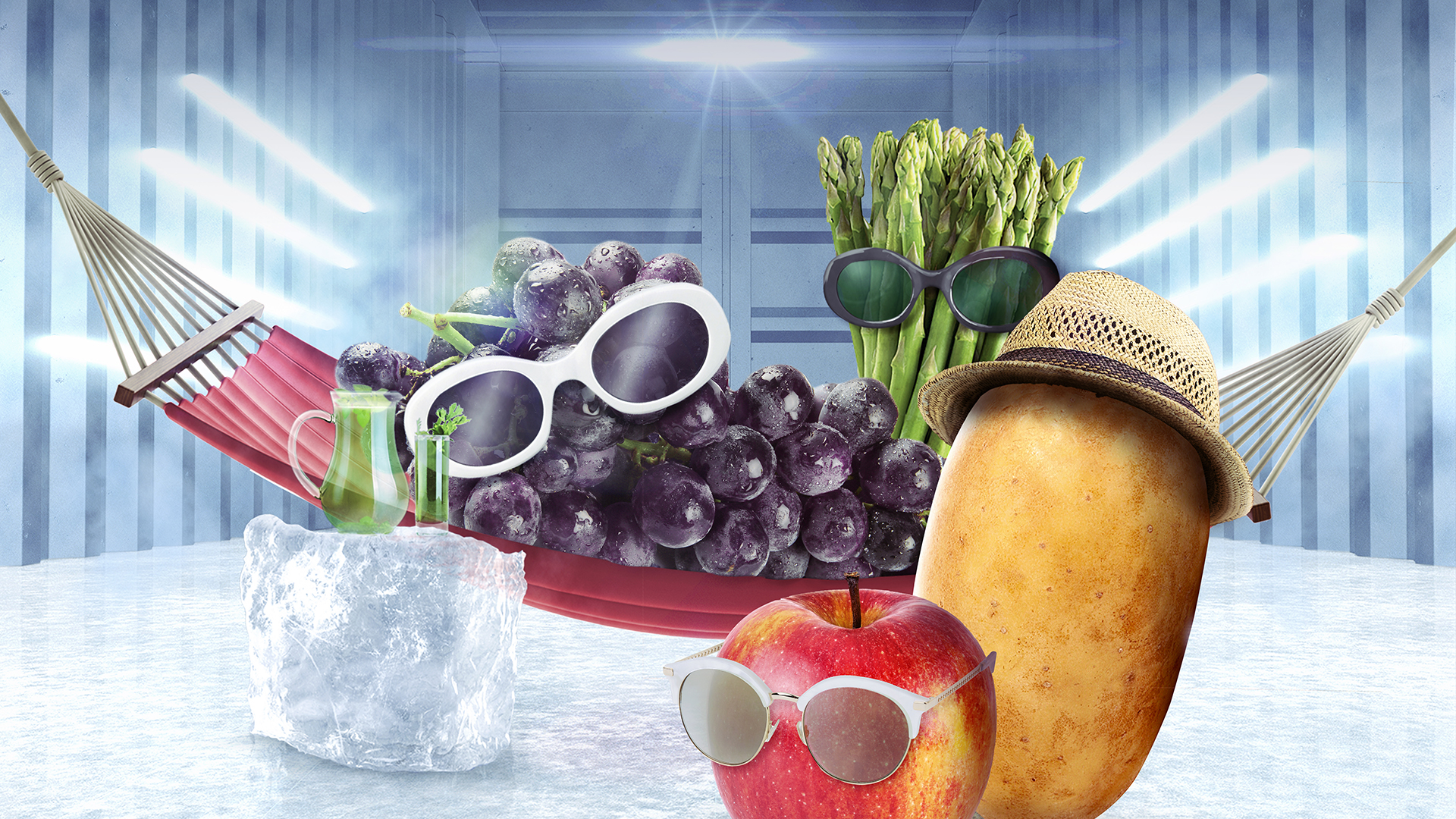 MSC Showcases Solutions at Global Produce and Floral Show Logistics