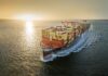 MSC Japan Celebrates 25 Years of Charting Success