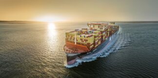 MSC Japan Celebrates 25 Years of Charting Success