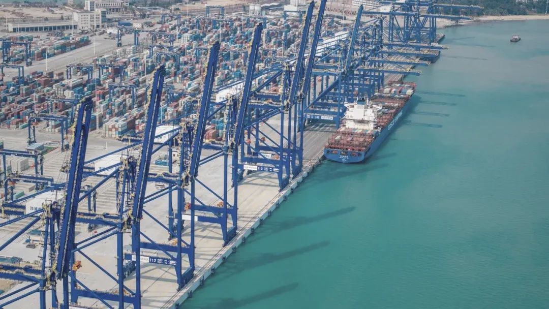 ท่าเทียบเรือ Yangpu International Container Terminal ประกาศปริมาณตู้ ...