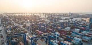 Yangpu International Container Terminal Middle East Route Frequency