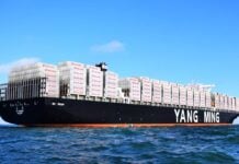 Yang Ming Methanol Dual-Fuel Containerships