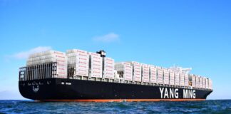 Yang Ming Methanol Dual-Fuel Containerships