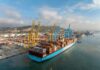 APM Terminals Barcelona Valencia Portchain Connect