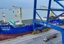 BRICS COSCO SHIPPING New Trade Corridor