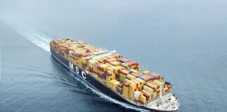 MSC Launch Fast Alpaca Service Connecting Asia South America