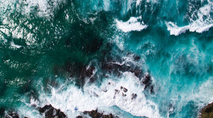 Wallenius Wilhelmsen TNFD Framework Maritime Biodiversity Strategy