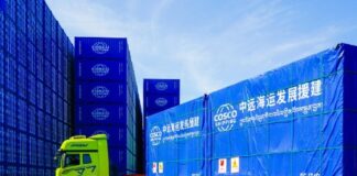 COSCO SHIPPING Specialized Container 'Roof of the World'