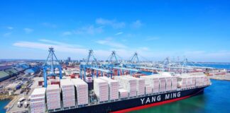 Yang Ming Seven LNG Dual-Fuel Vessels Hanwha Ocean