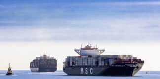 MSC Direct South America–Middle East Reefer Link Abu Dhabi