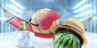 MSC "Smart" Cold-Chain Solutions Fruit Logistica 2026