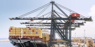 MSC Iroko Direct Cape Town Call