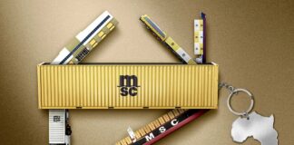 MSC Intermodal Solutions Africa Inland Connectivity