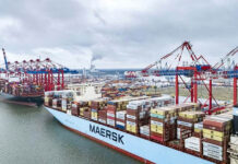 Gemini Cooperation Red Sea Suez Canal