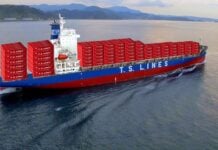 TS Lines Xiamen–Japan Trade Enhanced Kanto Region Connectivity