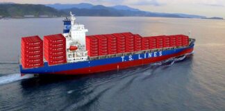 TS Lines Xiamen–Japan Trade Enhanced Kanto Region Connectivity