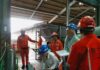 BMT Pacific Achieves Full Compliance with International Organic Standards Following CERES Audit BMT Pacific International Organic Standards CERES Audit