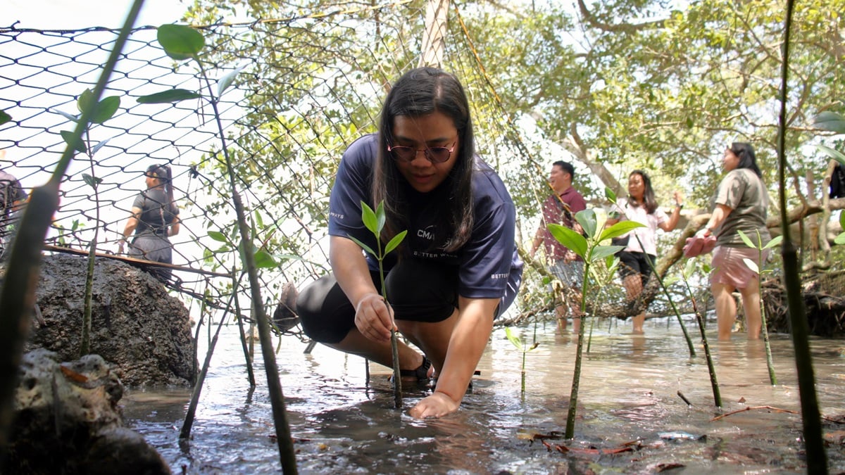 CMA CGM and Endangered Species International Advance Marine Ecosystem Project in Sarangani Bay