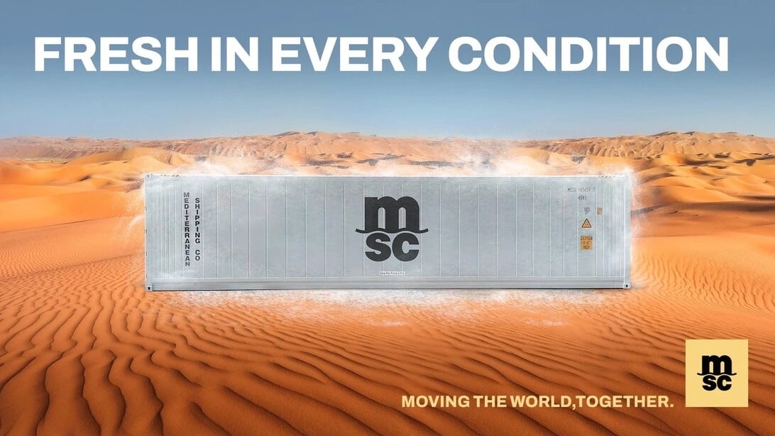 MSC to Present Cold Chain Technologies and Network Capabilities at Asia Fruit Logistica 2026
