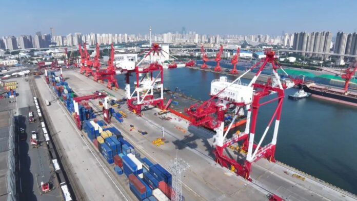 1785539759461 ZPMC New Wind-Resistant Quay Crane Qingdao Dagang Terminal