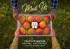 MSC เตรียมจัดแสดงโซลูชันโลจิสติกส์ในงาน Fruit Attraction 2026 ใน Madrid