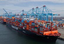 Hapag-Lloyd 25% Stake APM Terminals Maasvlakte II Gemini Cooperation Hub Expansion