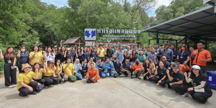 TICTA Mangrove Forest 1-re